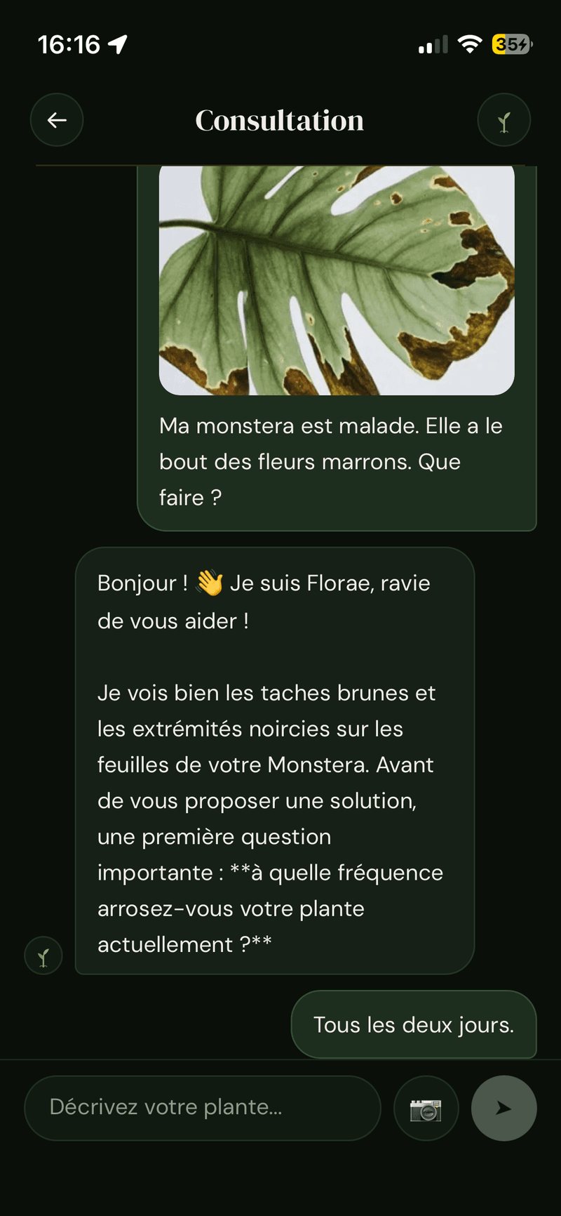 Florae — écran 2